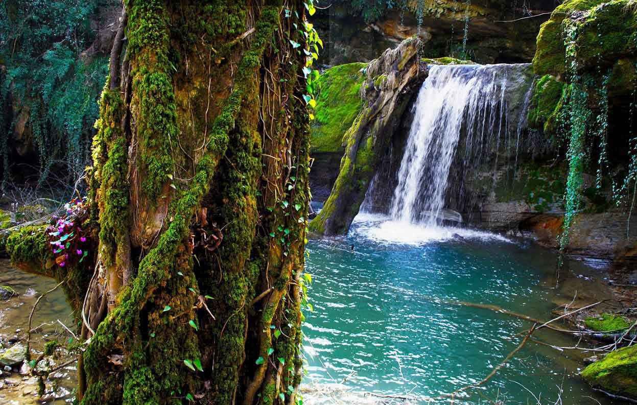 راهنمای سفر به فارس