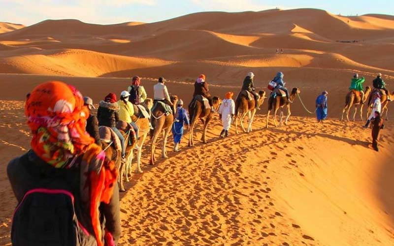چرا تور ارزان گاهی از تور استاندارد گرانتر تمام میشود؟