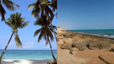 سفر خانوادگی قشم بهتر است یا کیش؟ مقایسه کامل تفریحات و قیمتها