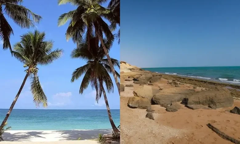 سفر خانوادگی قشم بهتر است یا کیش؟ مقایسه کامل تفریحات و قیمت‌ها