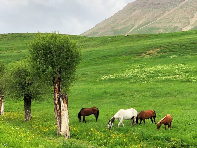 جذاب ترین روستاهای تهران,دیدنی های تهران,روستاهای اطراف تهران